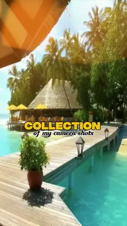 Collection Camera