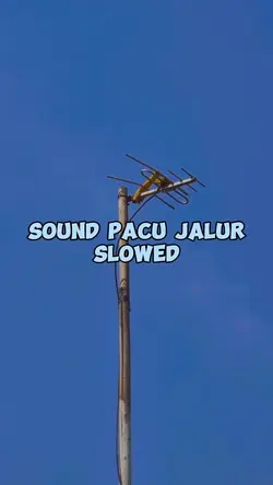 pacu jalur