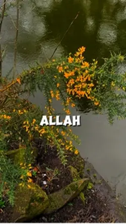 Allah loves you 