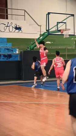 Lay basketball