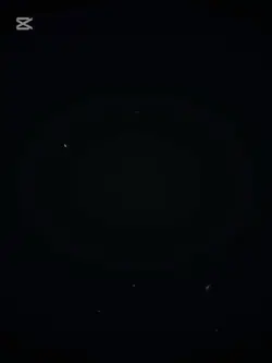 TikTok viral 