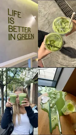 matcha dumb