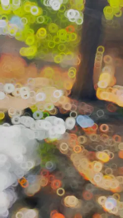 Slowmomix 