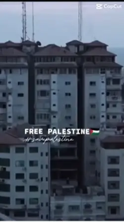 Free Palestine 🇵🇸 