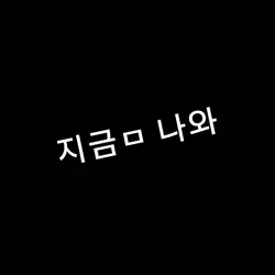당신의 기타가 되고싶어 🎸