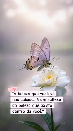 A beleza...