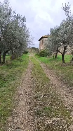 Tutto passa