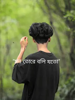মন তোরে বলি যত