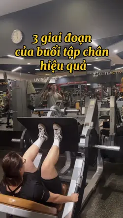 1vd gym