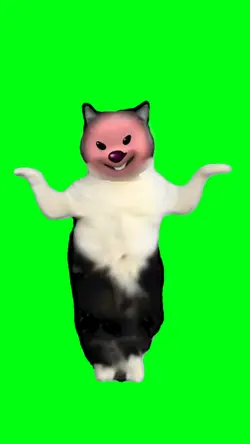 친구 프사를 넣어보세요!