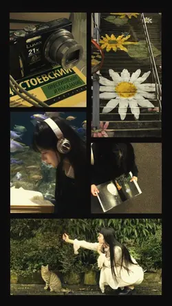 5 photos/vids