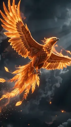 phoenix