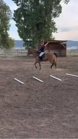Sitting trot 