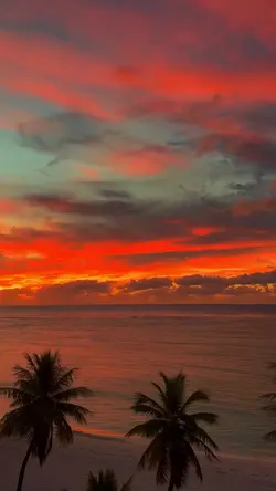 atardecer 