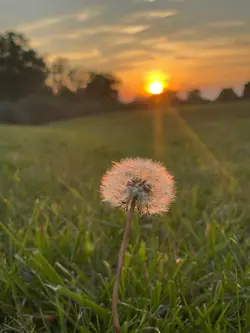 1 videos hmoob 