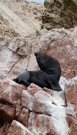 Peru