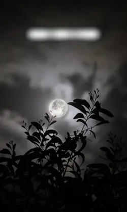 for you