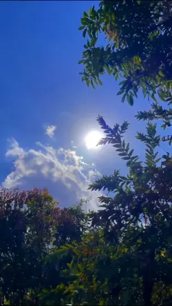 SINEMATIC NATURE