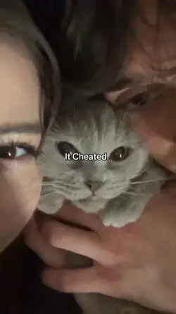 it cheated
