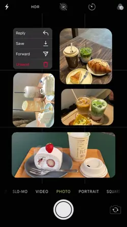 food diary