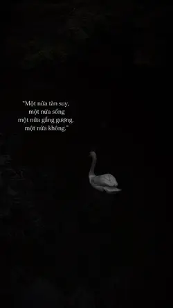1 ảnh caption