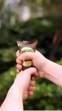 Magnum ice
