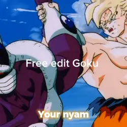 Goku 