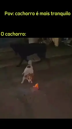 ⁰_⁰