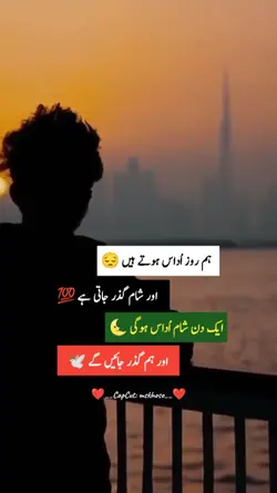 Urdu Shairy 