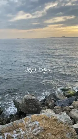 bye Half year dump