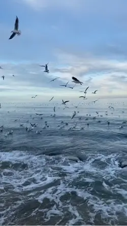 Slowmotion 