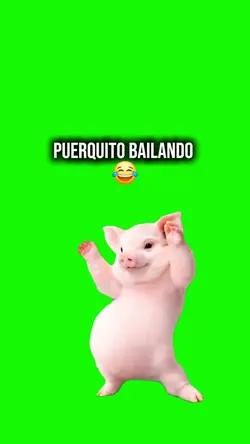 Puerco bailando meme