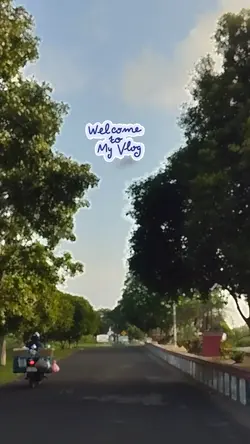 Mini vlog