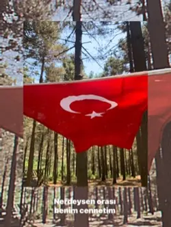 Türkiye 🇹🇷 