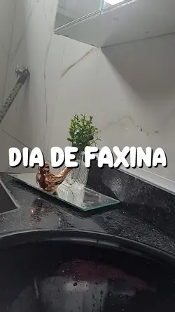 dia de faxina