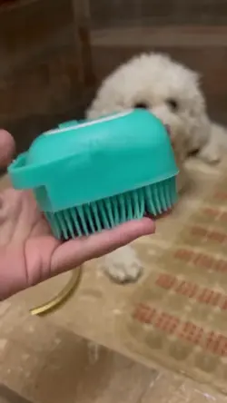 Pet Supplies