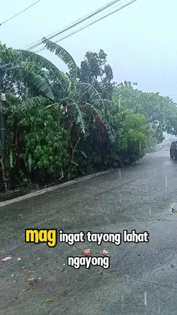 StaySafe