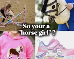 Equestrian sir