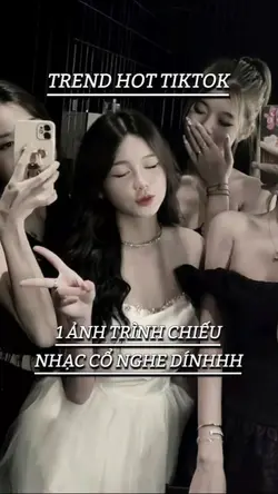 1 ảnh trình chiếu