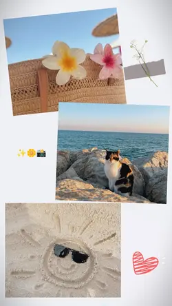 3 PIC 