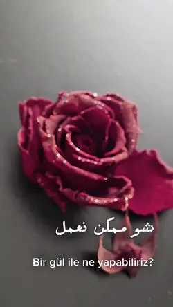 rawbi