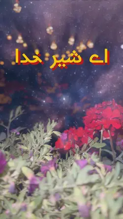 اے شیر خدا