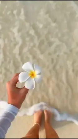 Chuyển cảnh đi biển