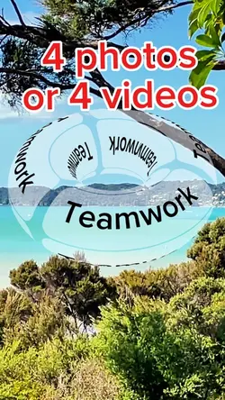 Teamwork 9