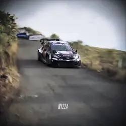 Rally