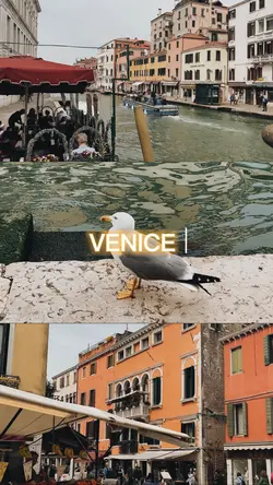 Venice 