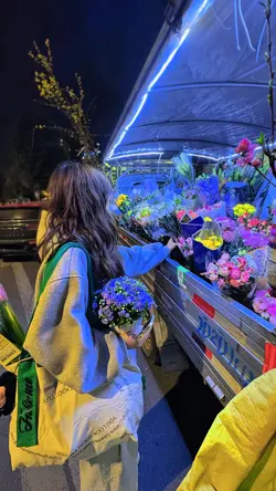 1 Picture Aesthetic
