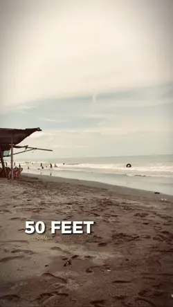 50 FEET