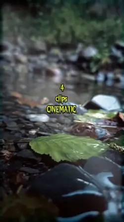 4 cinematic video