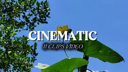 11 CLIPS VIDEO